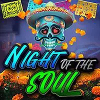 NIGHT OF THE SOUL